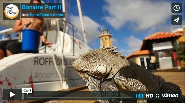 Bonaire parte II
